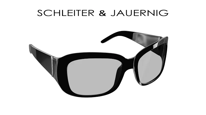 Polfilter 3D Brille von Schleiter & Jauernig in Ak...