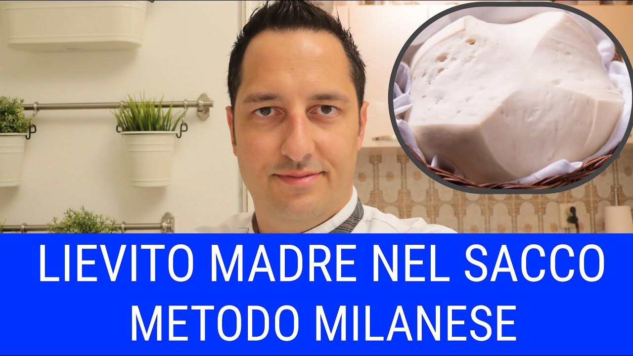 LIEVITO MADRE NEL SACCO - LIEVITO MILANESE - Caratteristiche, gestione, processo produttivo