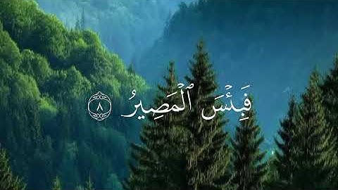 أرح سمعك.. تلاوة هادئة تريح القلب والعقل 🤍🎧ساعة كاملة🥹