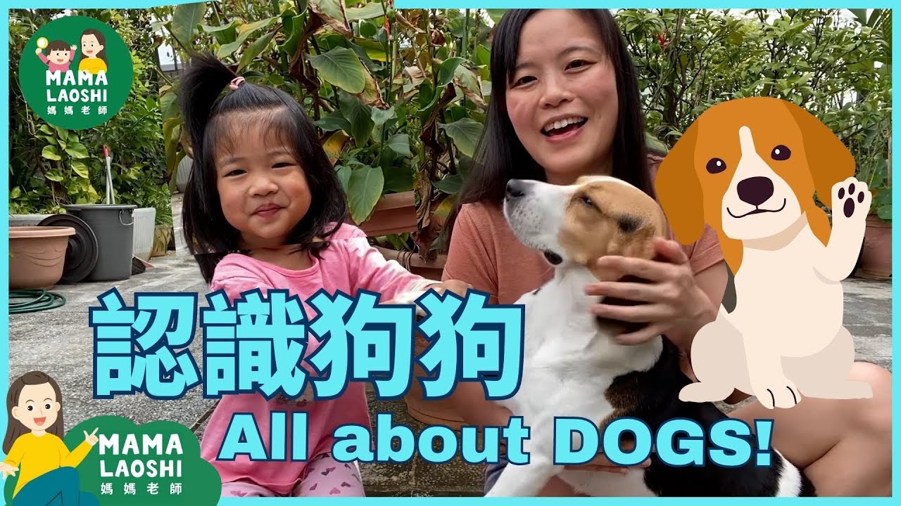 Learning to Care for Pet Dogs 教孩子照顧寵物狗 🐶 | Animals for Kids in Chinese 動物中文