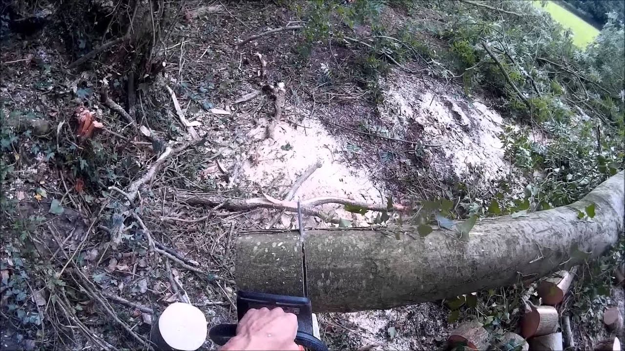 Stihl MS 241C-M in Ash