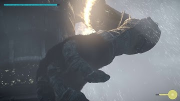 AMAZING Malus tricks (Shadow of the Colossus)