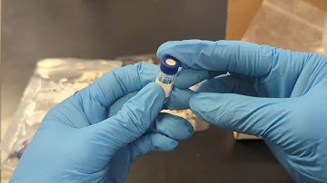 Preparing auto-sampler vials LC-MS