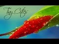 Flume - Tiny Cities ft. Beck (Headphone Activist Remix)