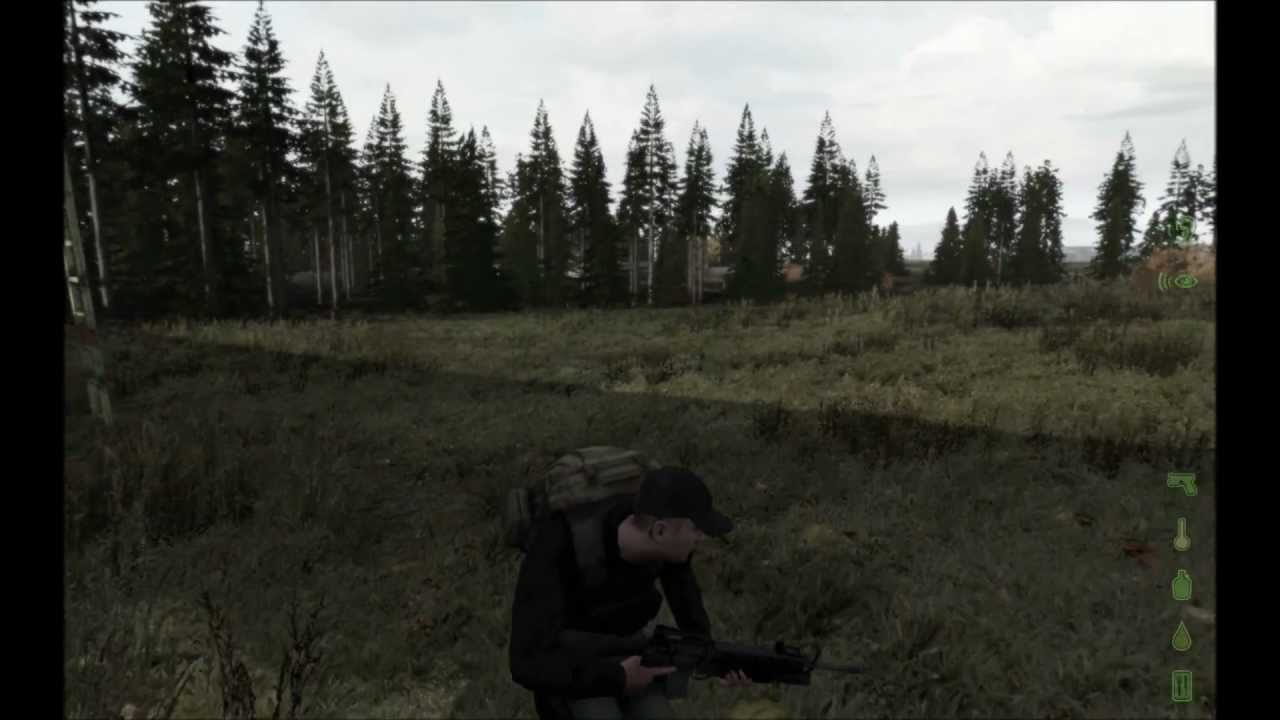First day in DayZ (720P/1080P)