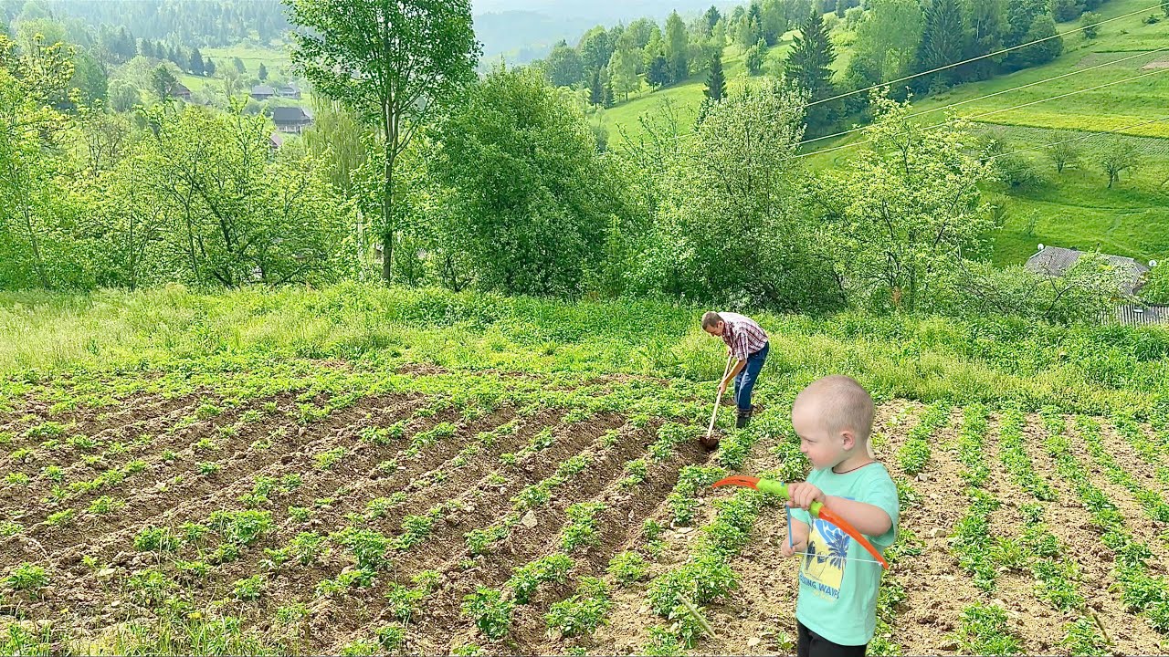 Colorful moments of rural life of a young family in the mountains ⛰️