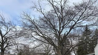 421 Van Allen Street SE, Grand Rapids, MI Presented by Jason Decker.