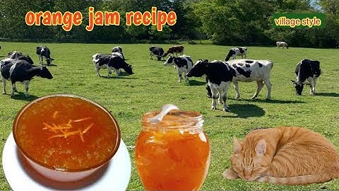 ORANGE JAM MARMALADE | Home Made Marmalade Recipe Cooking in Village | Easy Fruit Jam Recipes