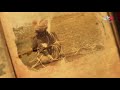صفحات من الماضي وثائقي عن ولاية صحار عام1983م