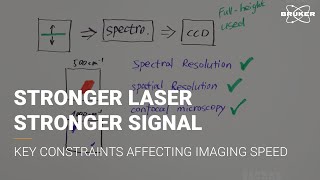 Breaking through the bottleneck with multiplexed Raman imaging | Raman for Beginners | Microscopy