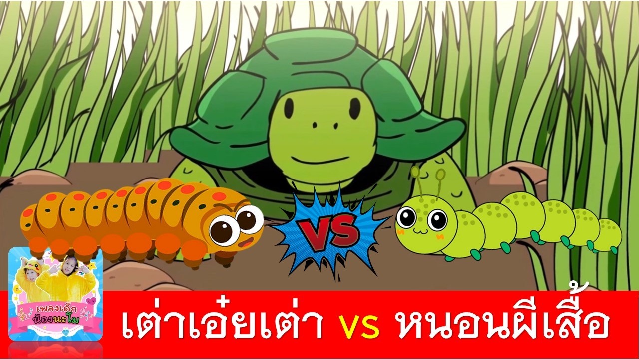 เต่าเอ๋ยเต่า vs หนอนผีเสื้อ