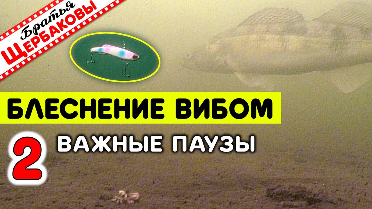 Секреты ловли на ВИБЫ с классическими ПОДБРОСАМИ. Как определять ВЕЛИЧИНУ ПАУЗ? Подводные съемки