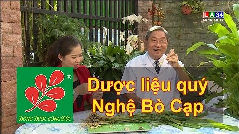 DƯỢC LIỆU QUÝ NGHỆ BÒ CẠP - Lương Y Nguyễn Công Đức