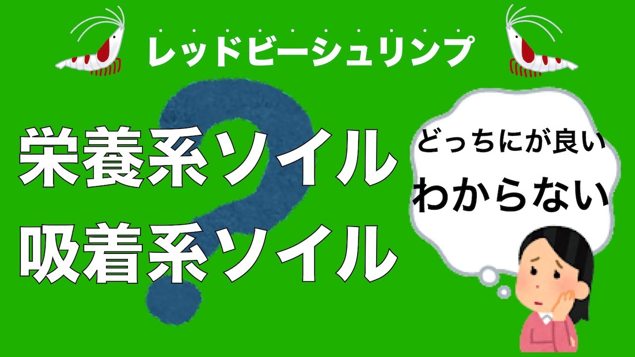 レッドビーシュリンプ　ソイルのおはなし