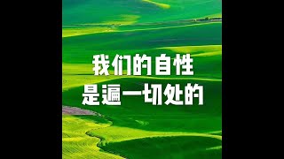 201603 我们的自性是遍一切处的21703