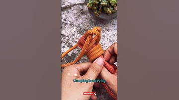 Camping knot tying #shorts #knot #gtknot #diy #knotting@DoiT_03