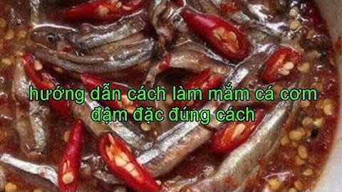 Hướng dẫn cách làm mắm cá cơm đậm đặc đúng cách