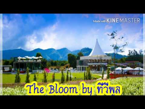 korat01-The Bloom by ทีวีพูล | เที่ยวโคราช Thailand Travel Guide