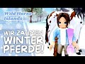 Wir FANGEN Pferde! Auf zur Pferdejagd! | Wild Horse Islands - Roblox | Gameplay deutsch