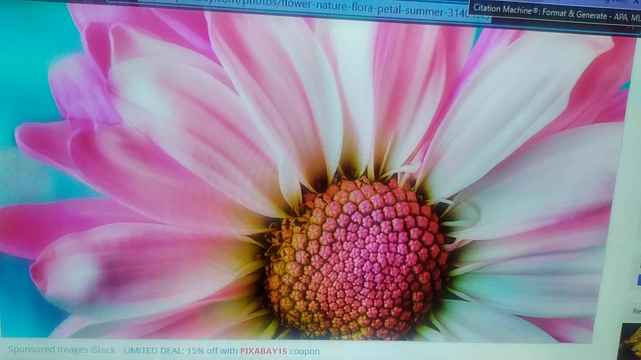 citation from website part 1/ Multi Gheable 