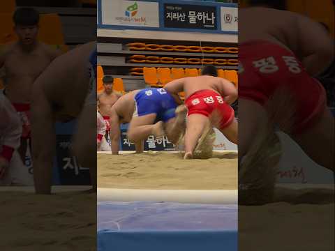 우량아들 실력도 <strong>짱</strong>