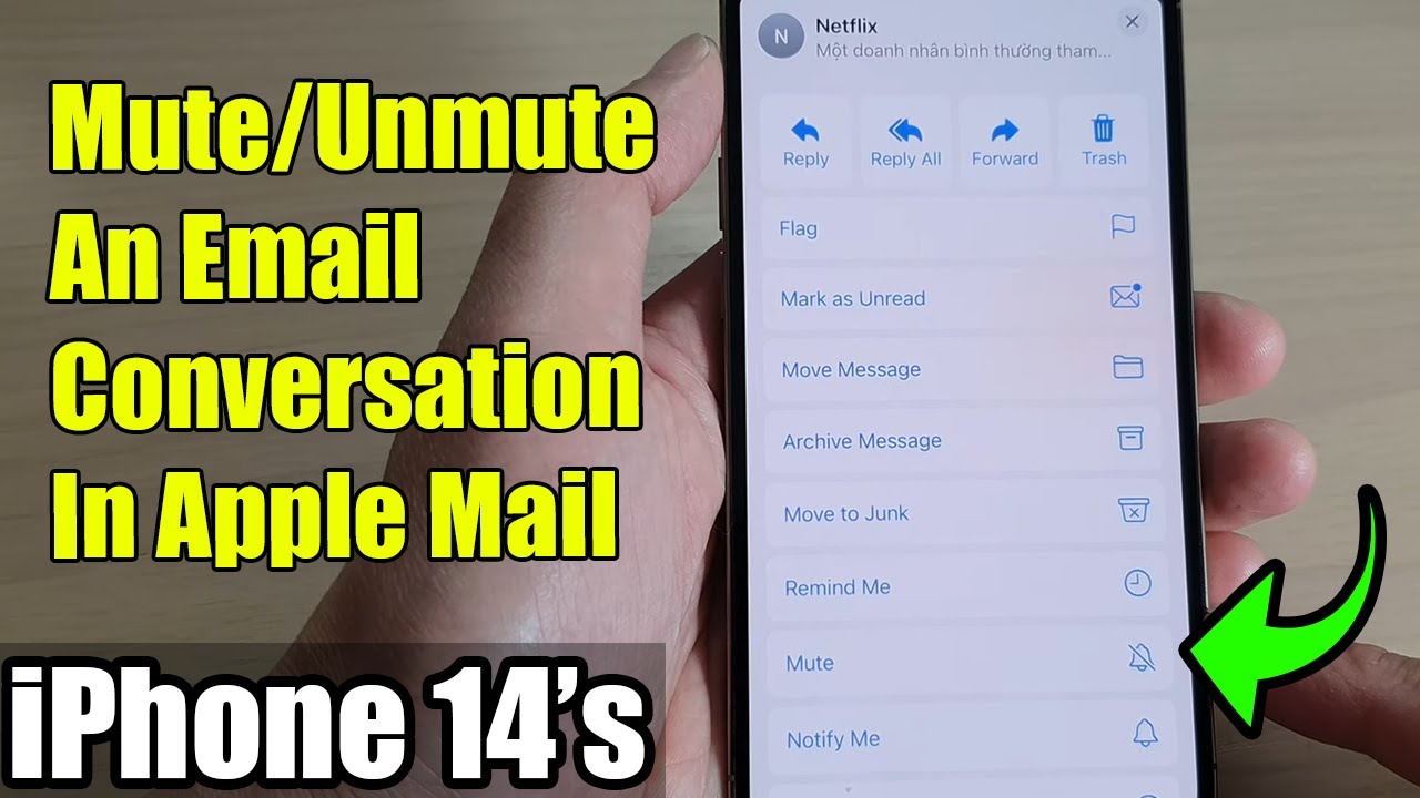 iPhone 14's/14 Pro Max How to Mute/Unmute An Email Conversation In