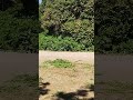 Quanto gli algoritmi decidano per noi e quanto noi vogliamo essere guidati da loro