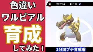 ポケモン育成紹介 色違い ワルビアルをサクッと1分プチ育成を紹介 初心者向け 鎧の孤島 剣盾 Youtube