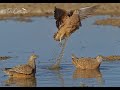 Cubitje Quab Waterhole