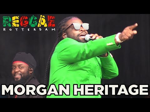 Video: Bagaimana Festival Reggae Di Jamaika?