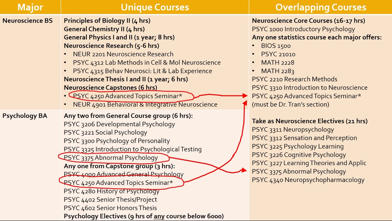 Neuroscience and Psychology Double Major YouTube