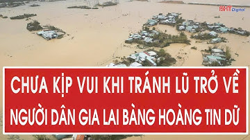 Chưa kịp vui khi tránh lũ trở về, người dân Gia Lai bàng hoàng tin dữ