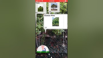 AuGEO ESRI Labs Pilot Project