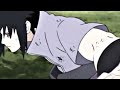 加纳纯享版 佐助 溯 加纳纯享版 佐助 溯
