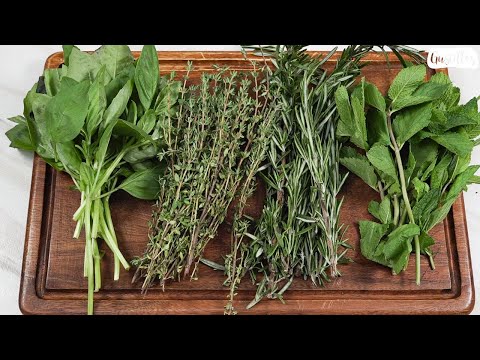 Video: Cómo Conservar Las Hierbas Aromáticas