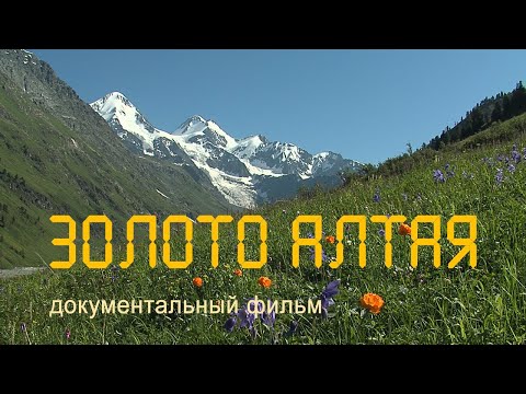 Video: Qornı Altay keçidləri, təsvir, şəkil