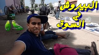 تجربة بيع العصافير في السوق  vlog (94)