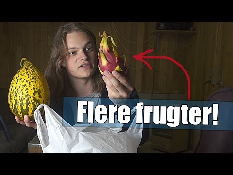 Video: Sunde Frugter Til Hår