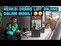 HARUS NONTON! LUCU BANGET REAKSI ORANG-ORANG!