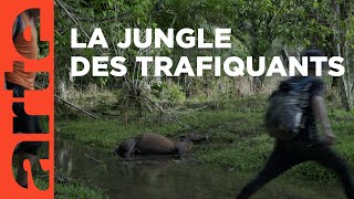 Panama-Colombie : dans l’enfer du Darien | ARTE Reportage