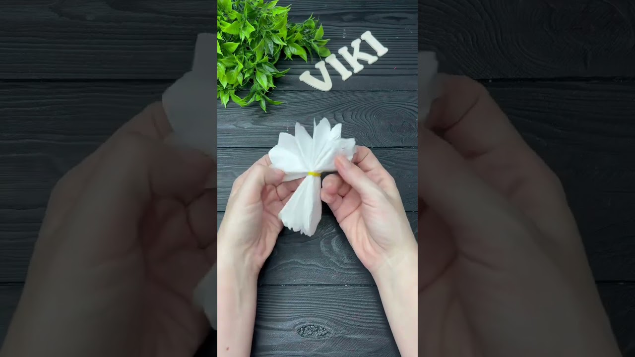 Turn Tissue Paper into White Flower - Easy Paper Flowers