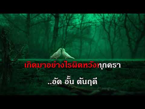 ชาตินี้ชาติเดียว เพียงพิศลูกกรุง คีย์ผู้หญิง คาราโอเกะ ช่วง เพลงบ้านเกิดเมืองนอน ดัง