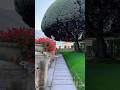 The best Video I have taken..!