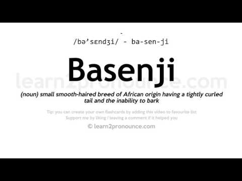 Произношение Басенджи | Определение Basenji