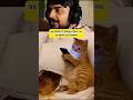 Funny Cat Video | Cat Video #shorts #funny #cat #funnymoments #funnyvideo