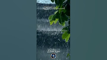 القارئ احمد النفيس تلاوة عطرة من سورة الطلاق #القرآن_الكريم #المصحف #اكسبلور