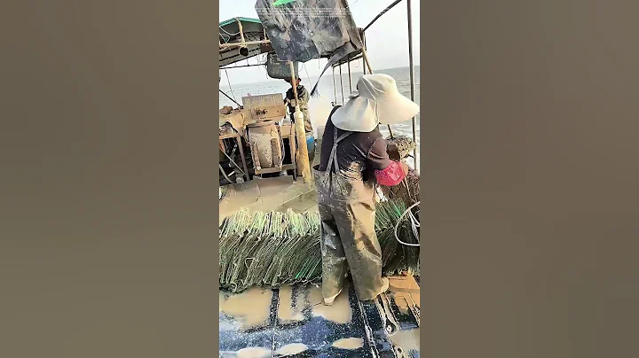 Weaving the Sea's Bounty: How Fishermen Deploy Traps for Sustainable Harvest