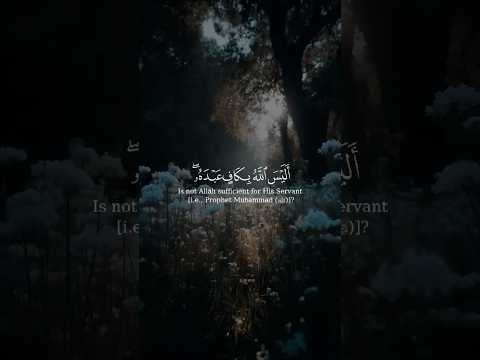 أ ل ي س ٱلل ه ب ك اف ع ب د ه ۥ و ي خ و ف ون ك ب ٱل ذ ين م ن د ون ه ۦ