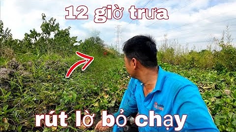 Thăm lờ cá gặp cảnh này chỉ biết kêu trời - vũ heo