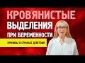 Кровянистые (розовые, алые, коричневые) выделения при беременности на ранних и поздних сроках